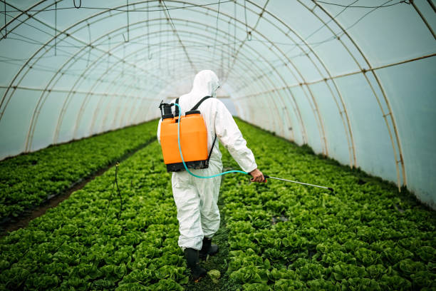 Best Pest Removal Services  in Windsor, CO