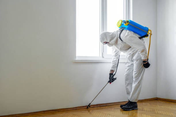 Pest Prevention Services in Windsor, CO