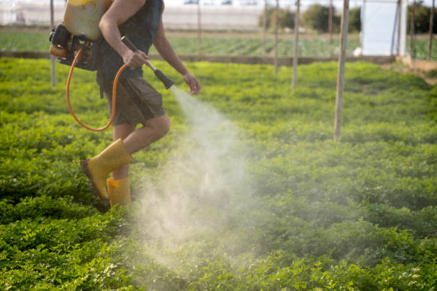 Best Pest Control for Businesses  in Windsor, CO