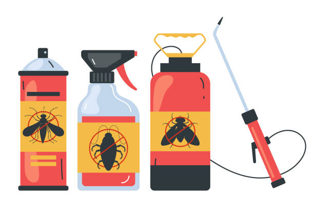 Best Local Pest Control Services  in Windsor, CO