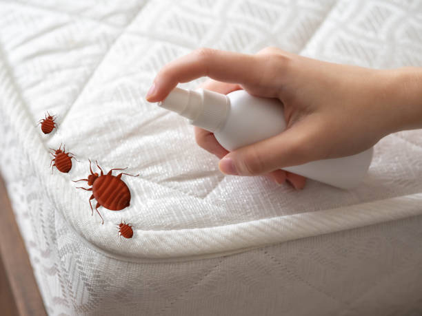 Windsor, CO Pest Control Company