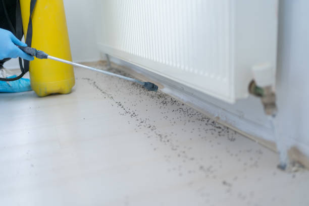 Best Pest Control for Restaurants  in Windsor, CO