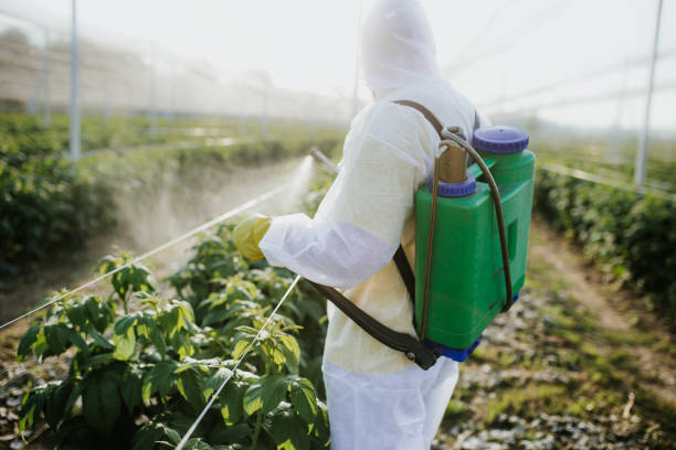 Best Flea Control Services  in Windsor, CO